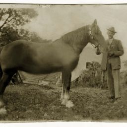 Historisches Bild von einem Mann mit Pferd