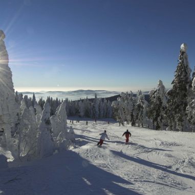 Skifahren im Bayerischen Wald