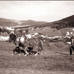 Historisches Landwirtschaftsbild