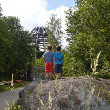 Baumwipfelpfad im Bayerischen Wald